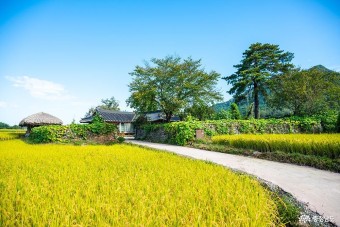 충청남도